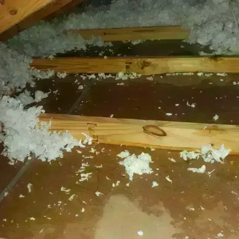 Attic Water Damage in Corning, IA